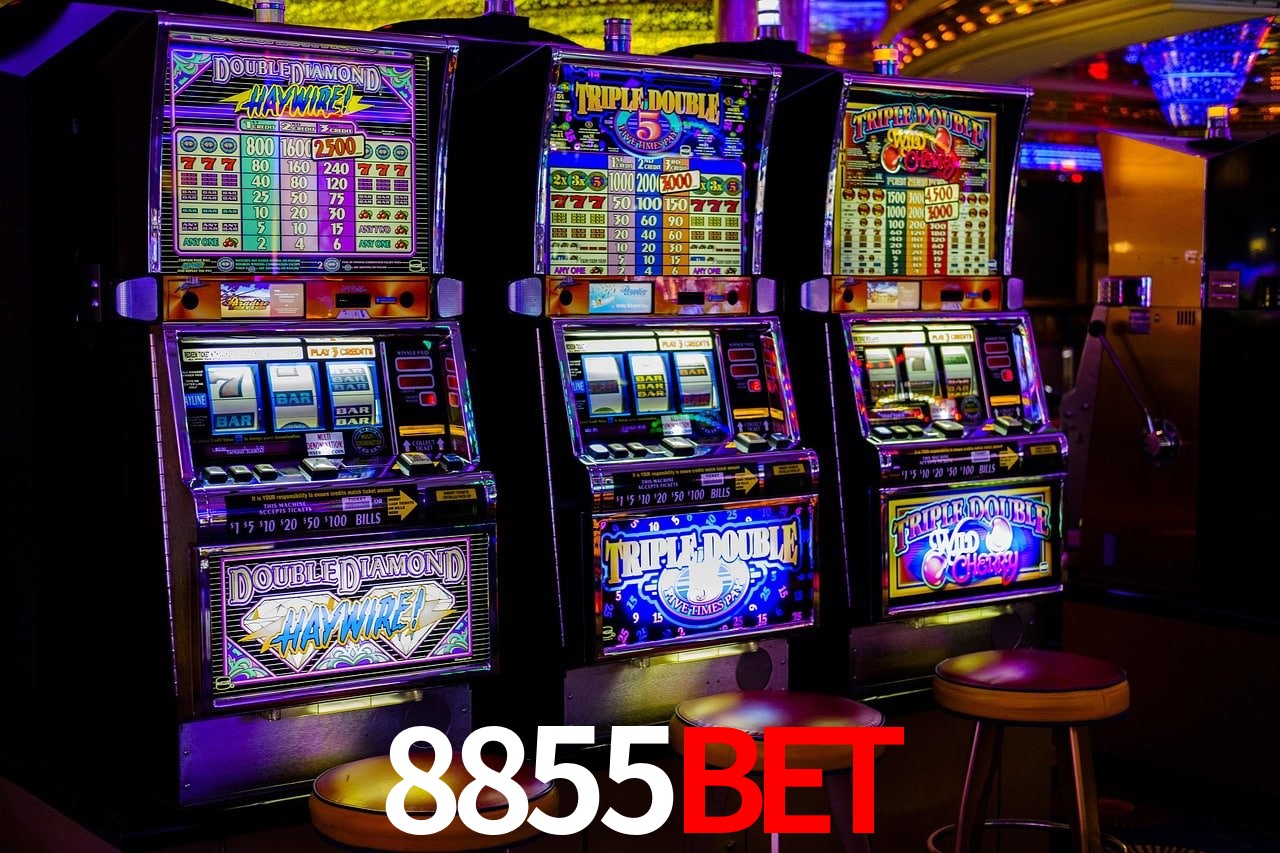 Interface do App 8855bet